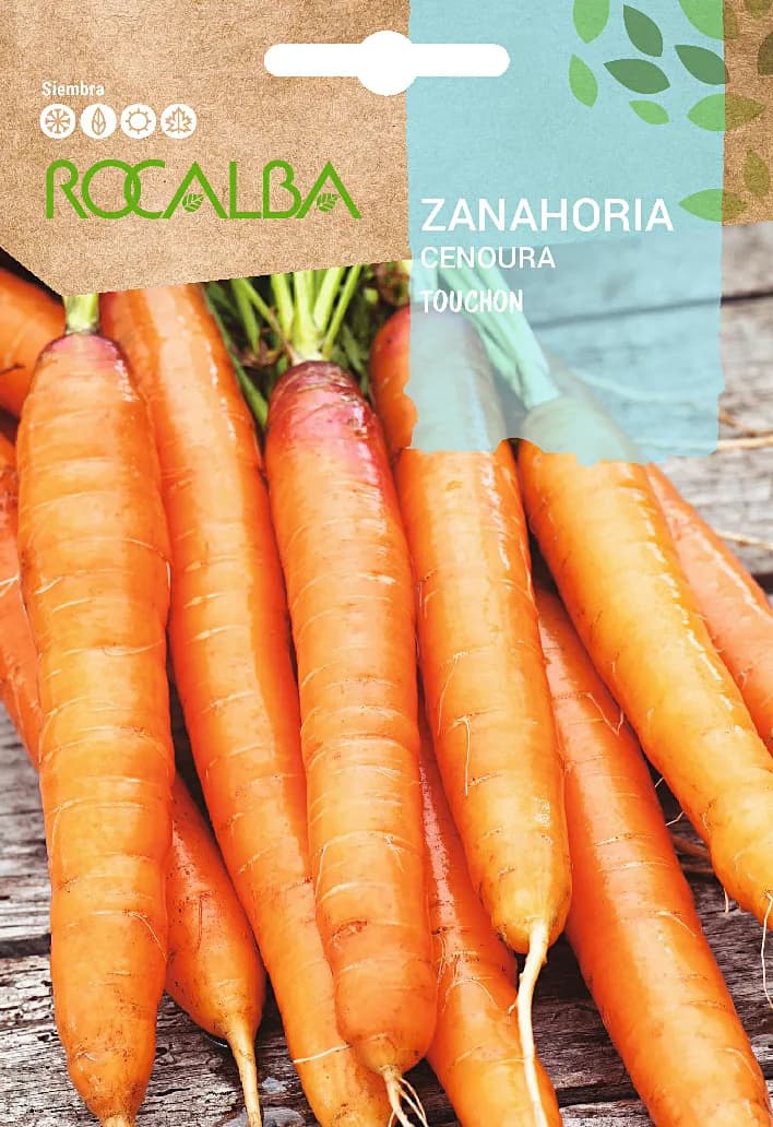 Semilla Zanahoria Touchon — foto principal