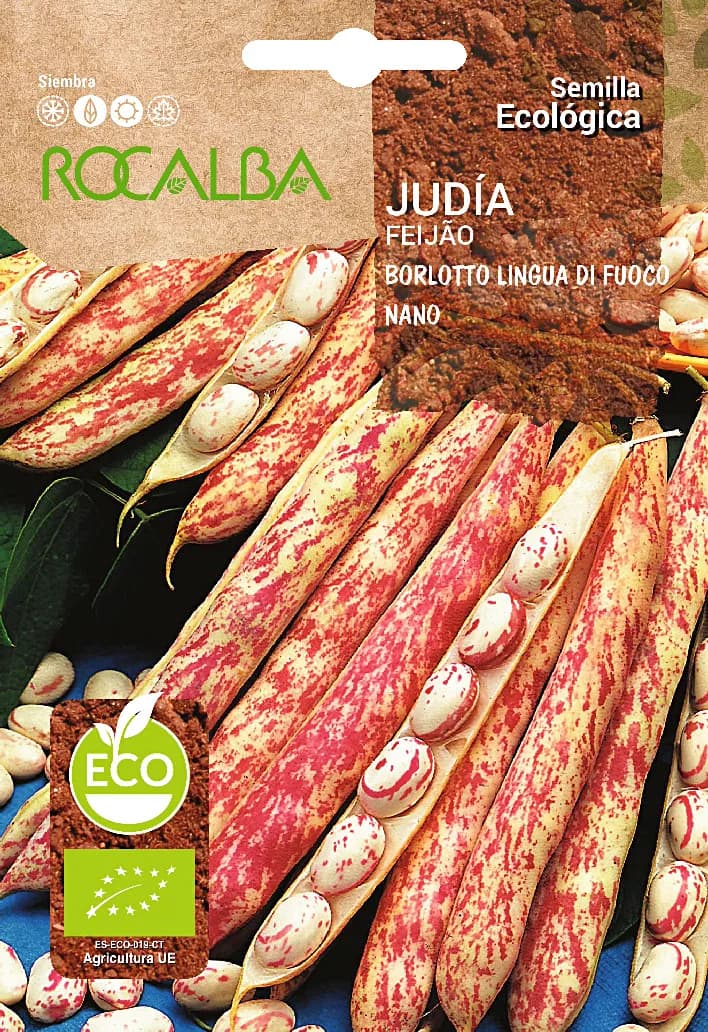 Semilla Ecologica Judia Borlotto Lengua de Fuego Enana — foto principal