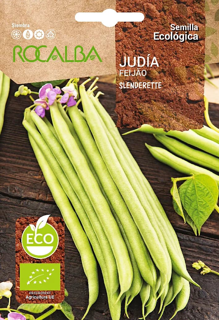 Semilla Ecologica Judia Slenderette — foto principal