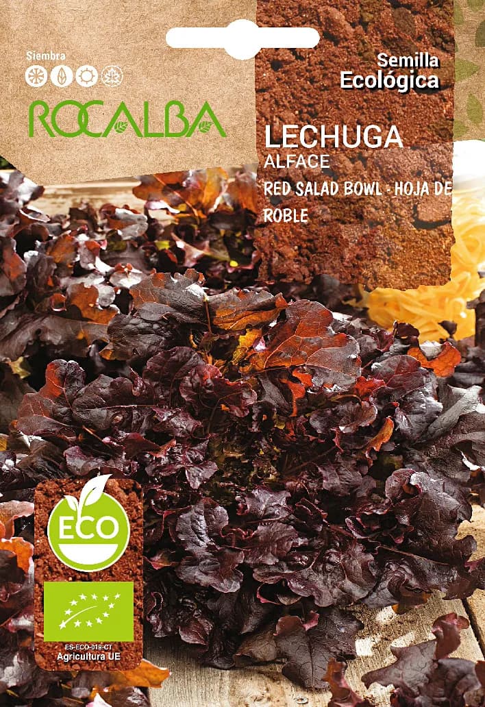 Semilla Ecologica Lechuga Red Salad Bowl "hoja de Roble" — foto principal