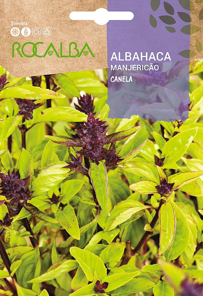 Semilla Albahaca Canela 2 gr. — foto principal