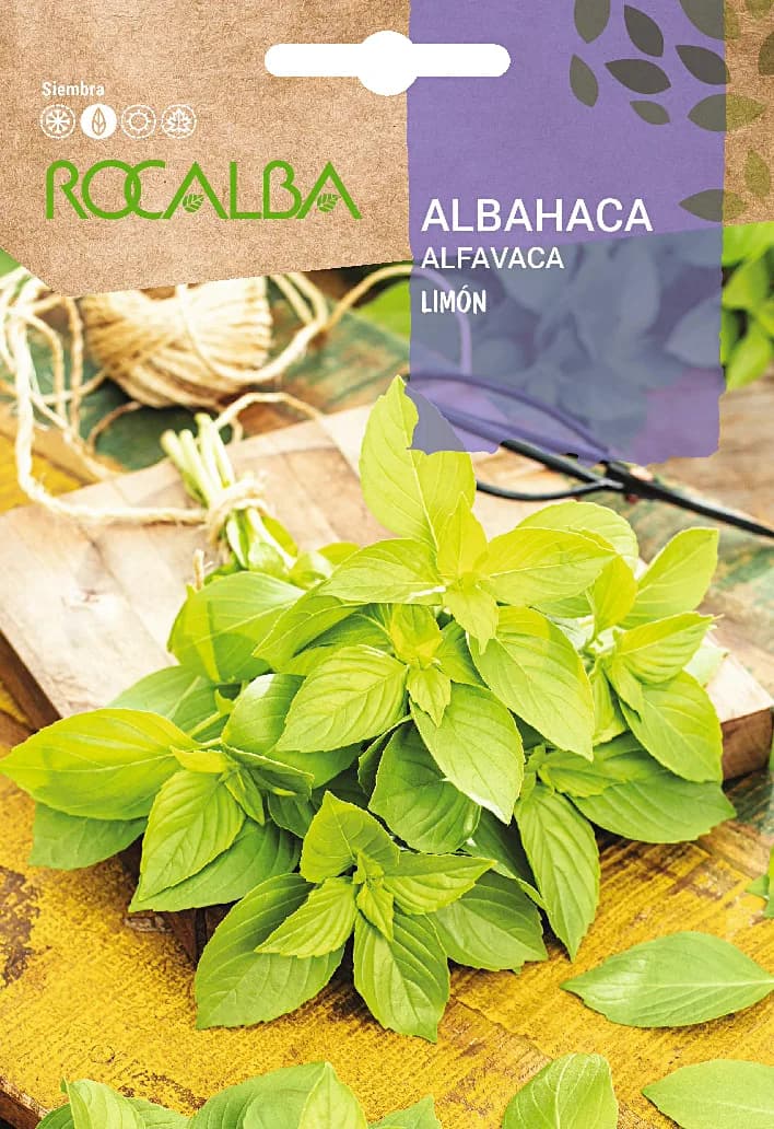 Semilla Albahaca Limon — foto principal