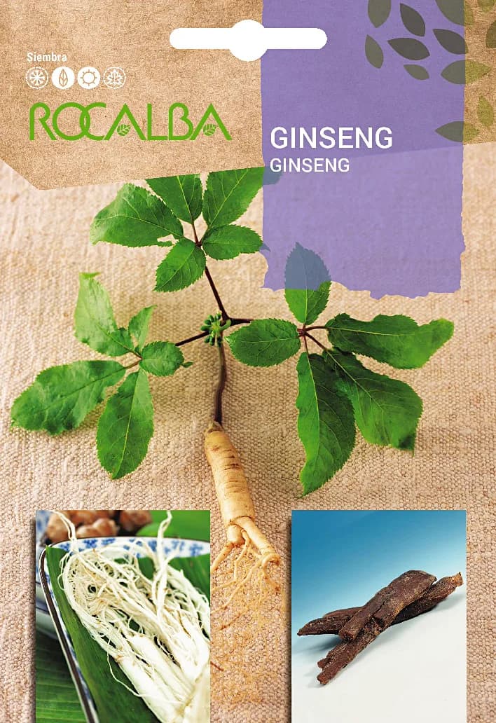 Semilla Ginseng — foto principal