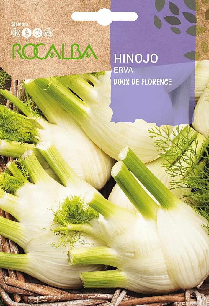 Semilla Hinojo de Florencia — foto principal