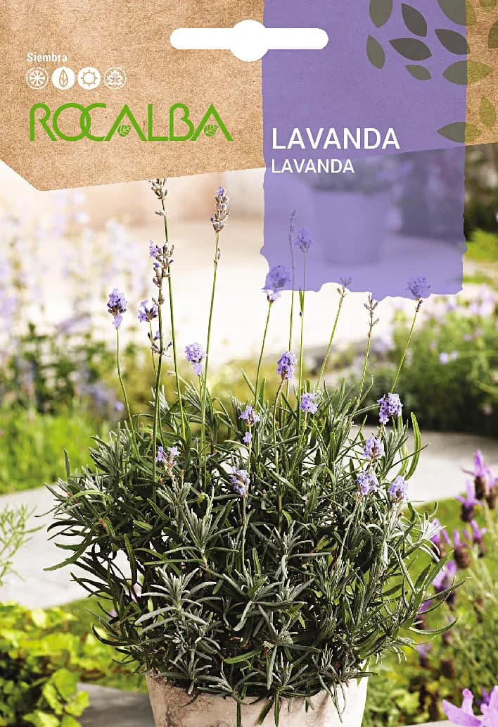 Semilla Lavanda - Espliego — foto principal