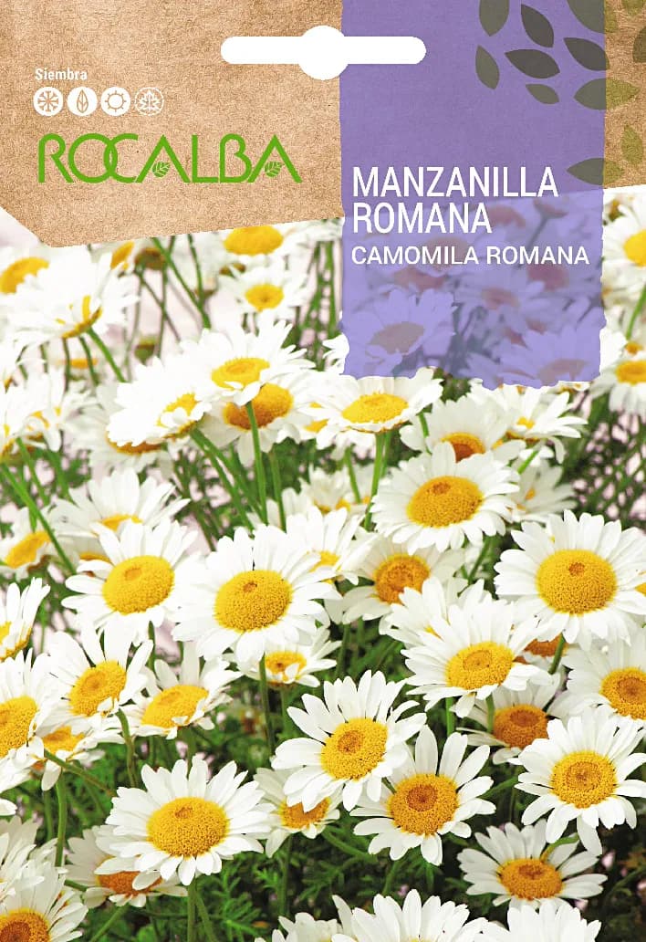 Semilla Manzanilla Romana — foto principal