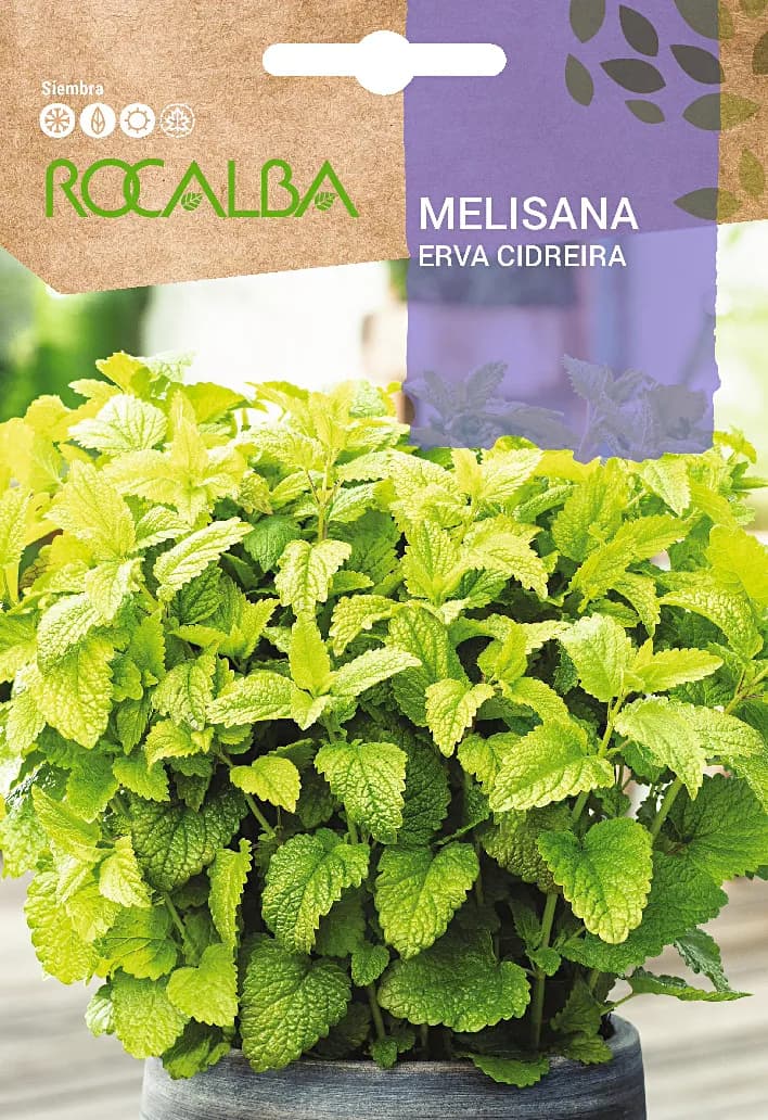 Semilla Melisana — foto principal