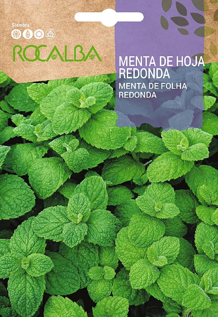 Semilla Menta de Hoja Redonda — foto principal