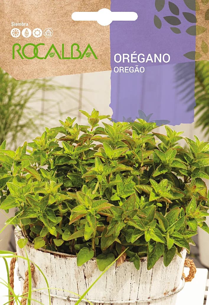 Semilla Oregano — foto principal