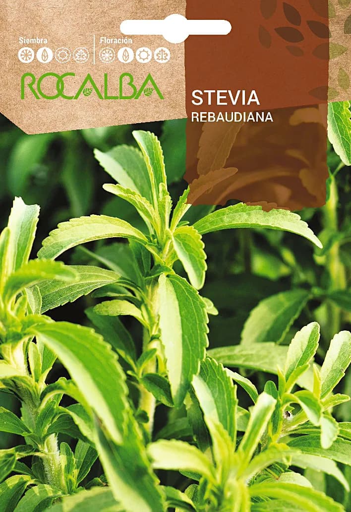 Semilla Stevia Rebaudiana — foto principal