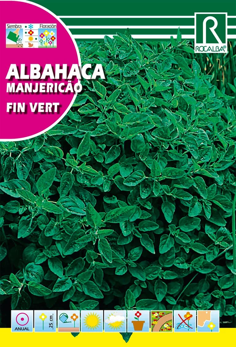Semilla Albahaca Fin Vert — foto principal