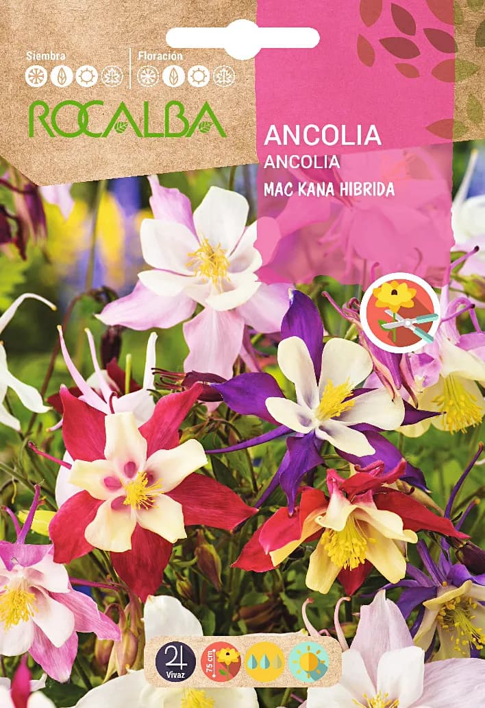 Semilla Ancolia Mac Kana Hibrida, Variada — foto principal