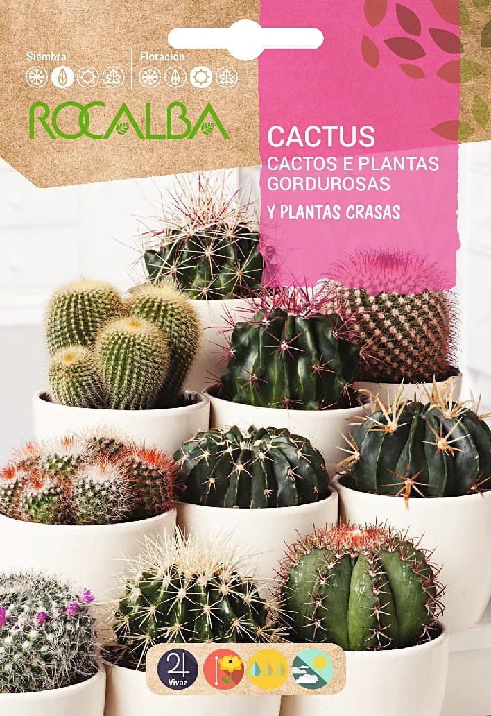 Semilla Cactus y Plantas Grasas Variado — foto principal