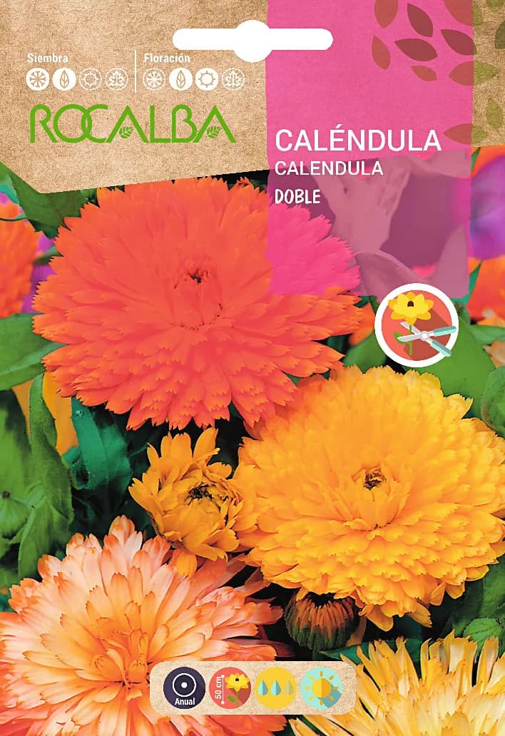 Semilla Calendula Doble Variada — foto principal