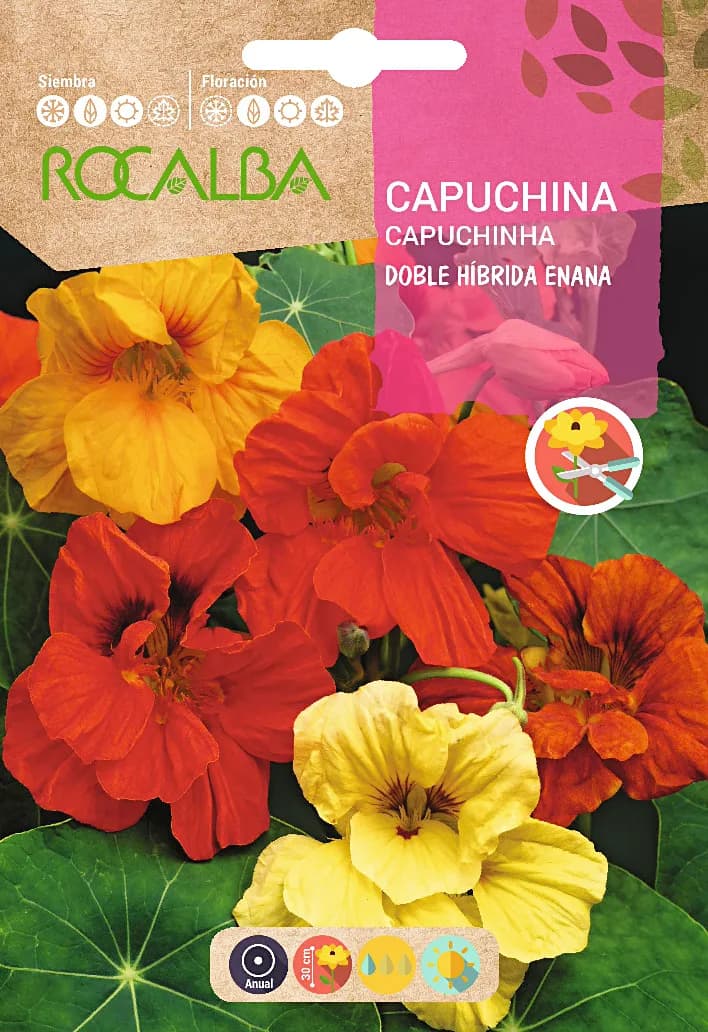 Semilla Capuchina Doble Hib Enana Variada — foto principal