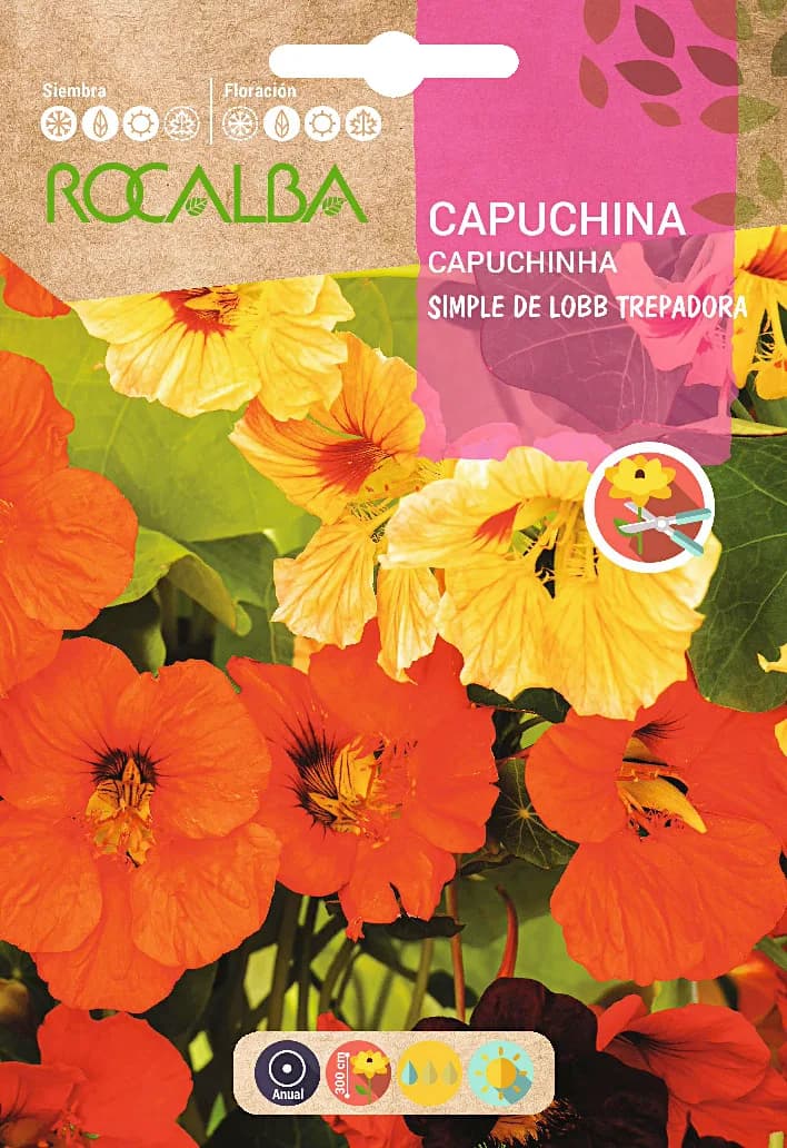 Semilla Capuchina Simple de Lobb Trepadora — foto principal