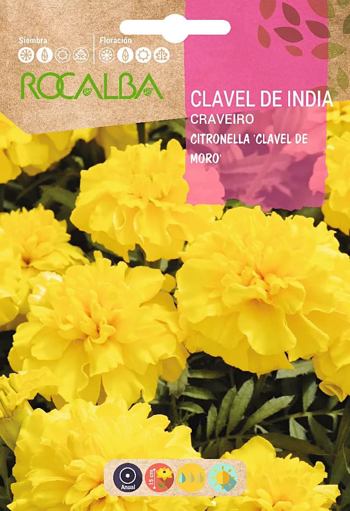 Semilla Clavel de India Citronella Doble Enano — foto principal