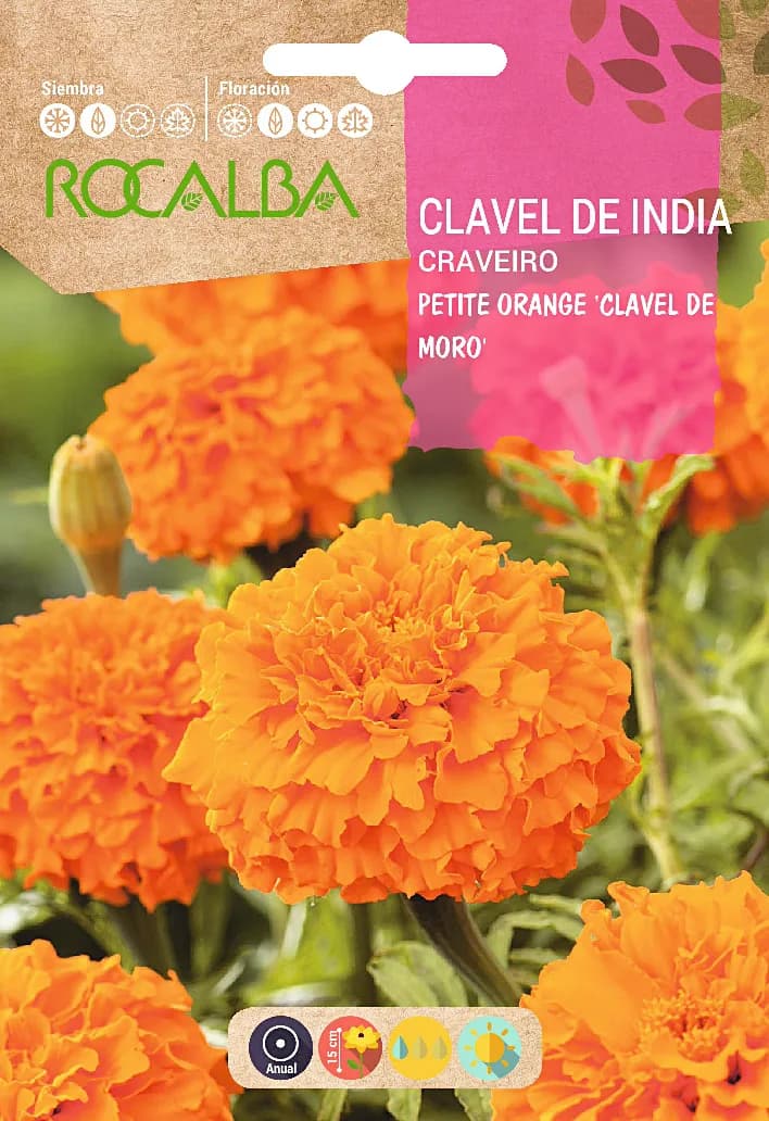 Semilla Clavel de India Petite Orange D. Verano — foto principal