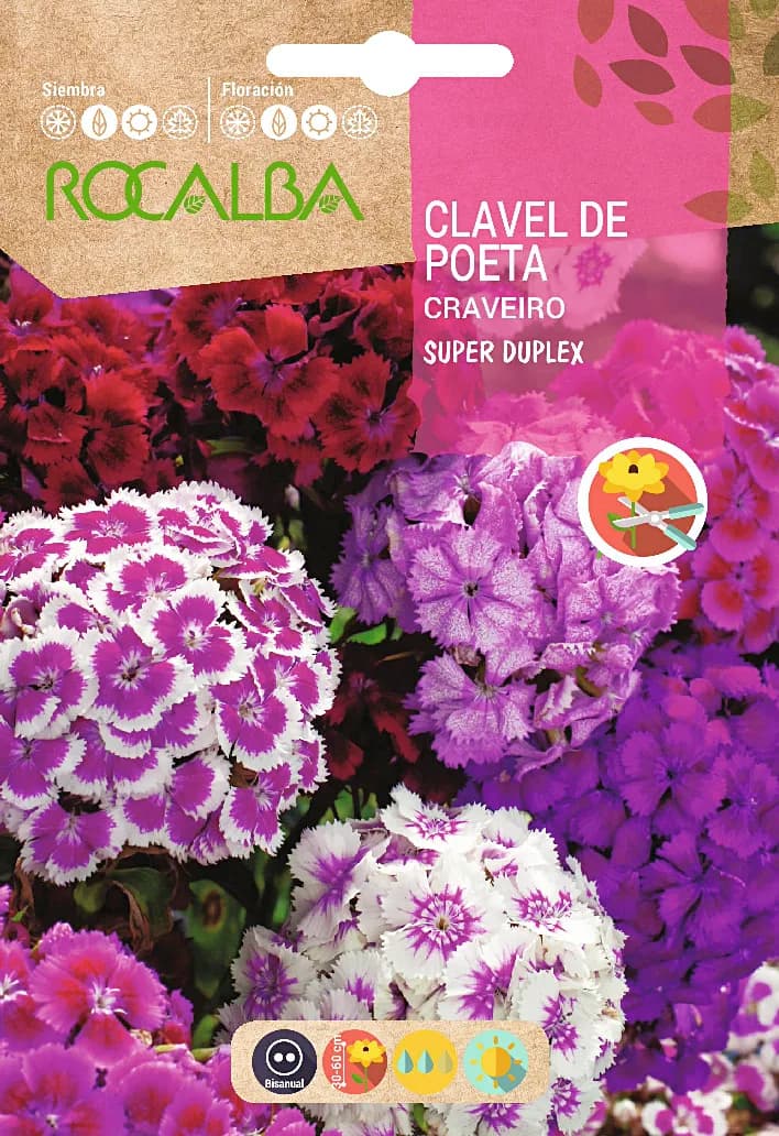 Semilla Clavel de Poeta Super Duplex Variado — foto principal