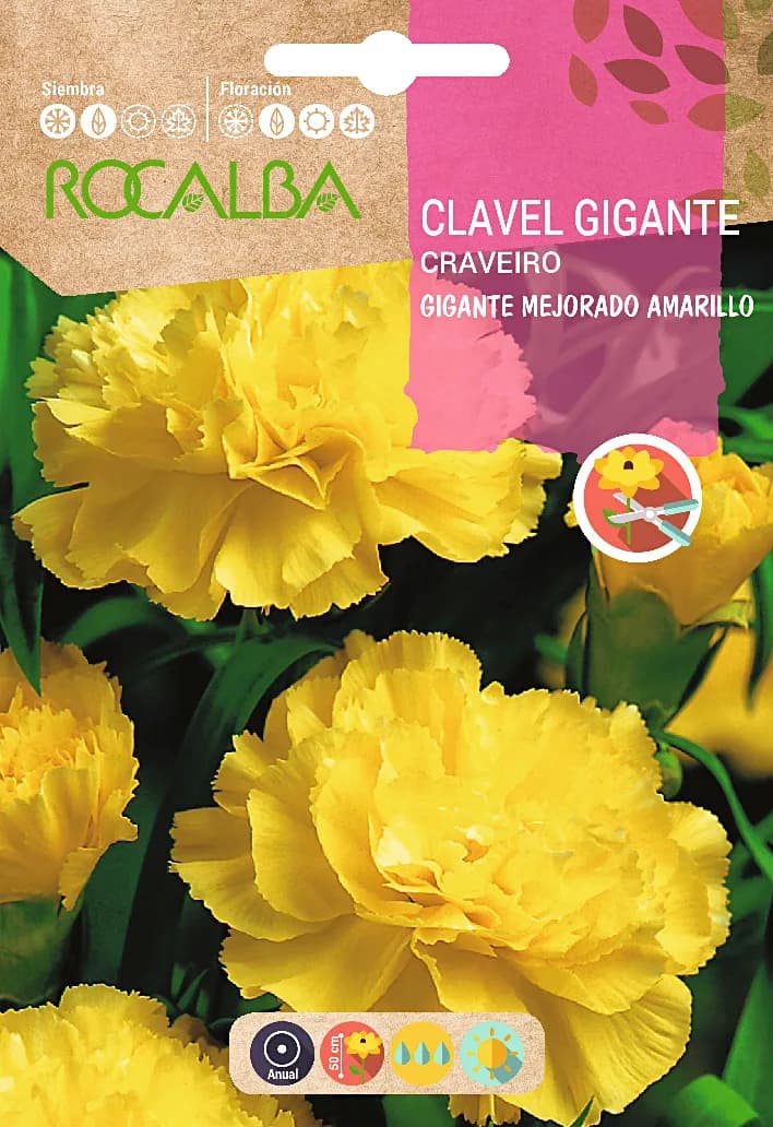 Semilla Clavel Gigante Mejorado, Amarillo — foto principal