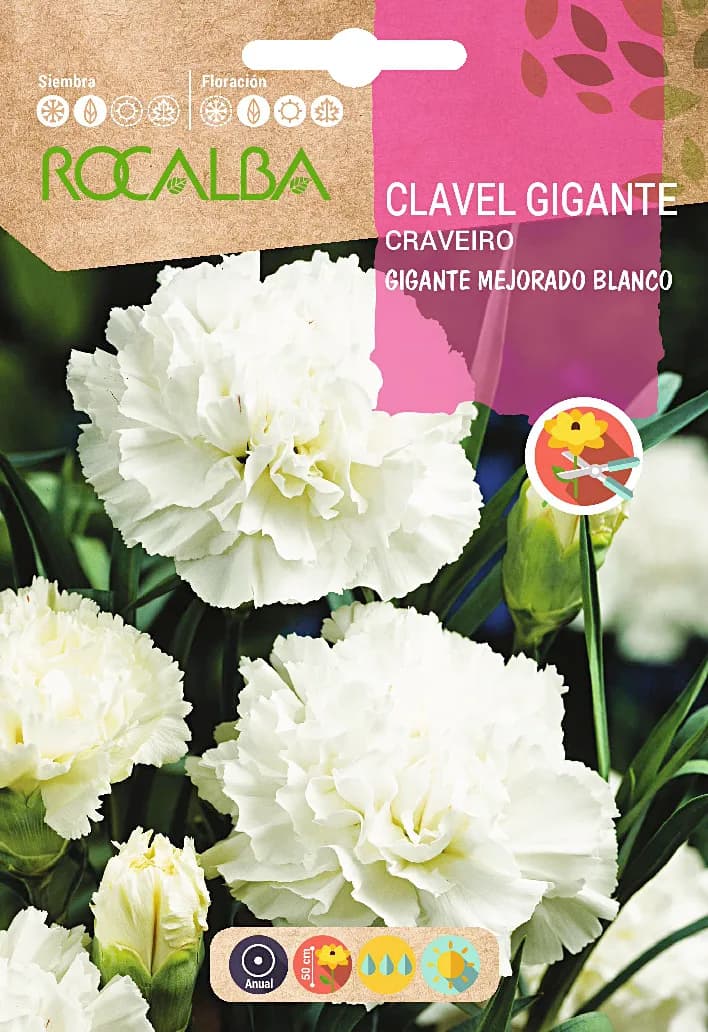 Semilla Clavel Gigante Mejorado Blanco — foto principal