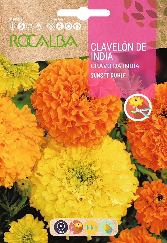 Semilla Clavelon Rosa India Sunset D.grande,var. — foto principal