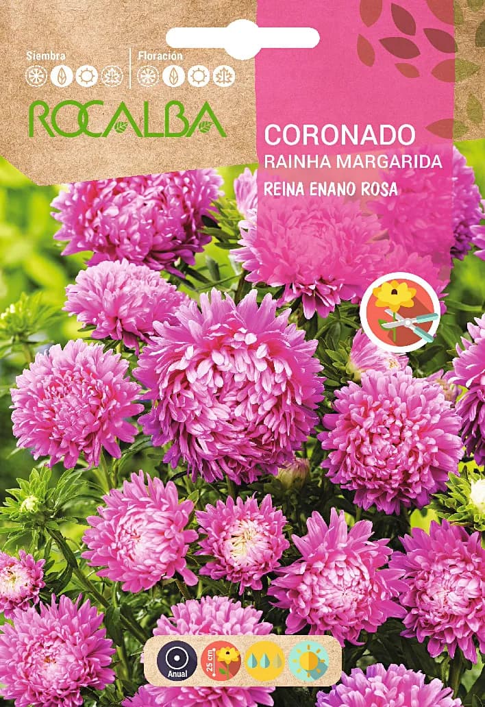 Semilla Coronado Reina Enano — foto principal