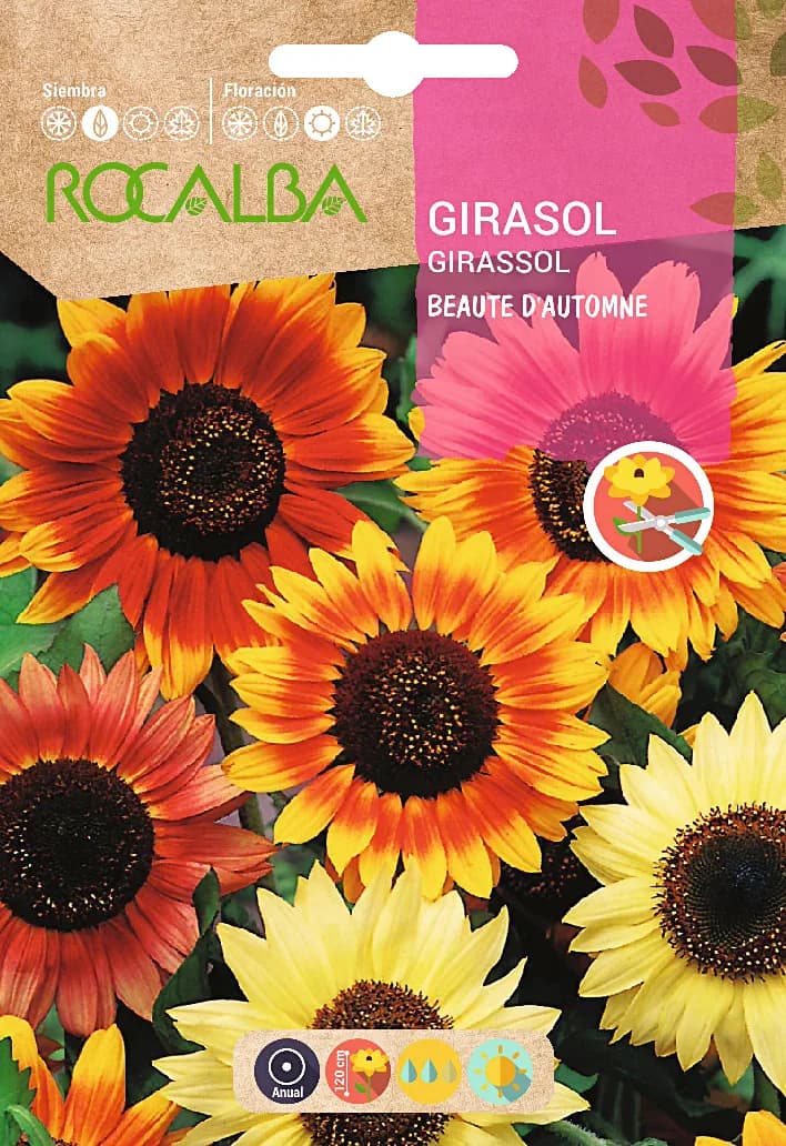 Semilla Girasol Beaute Dautomne Variado — foto principal