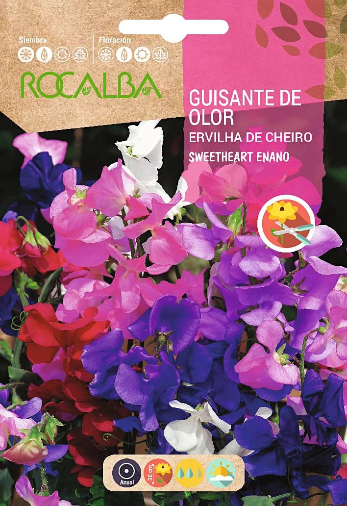 Semilla Guisante de Olor Sweetheart Enano Variado — foto principal