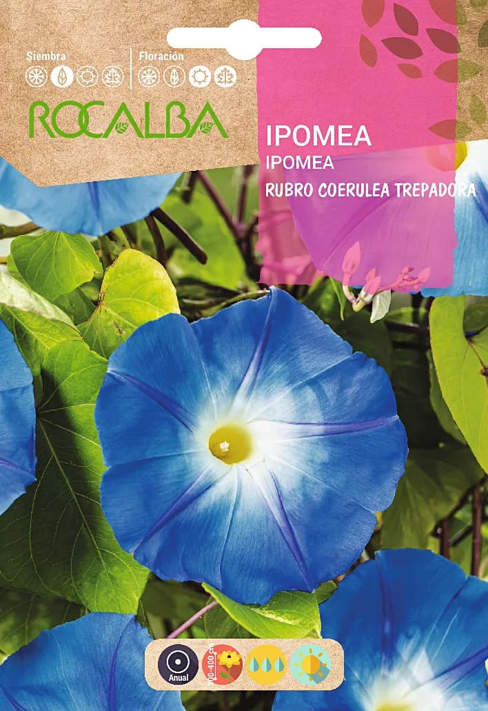 Semilla Ipomea Rubro Coerulea Trepadora Azul — foto principal