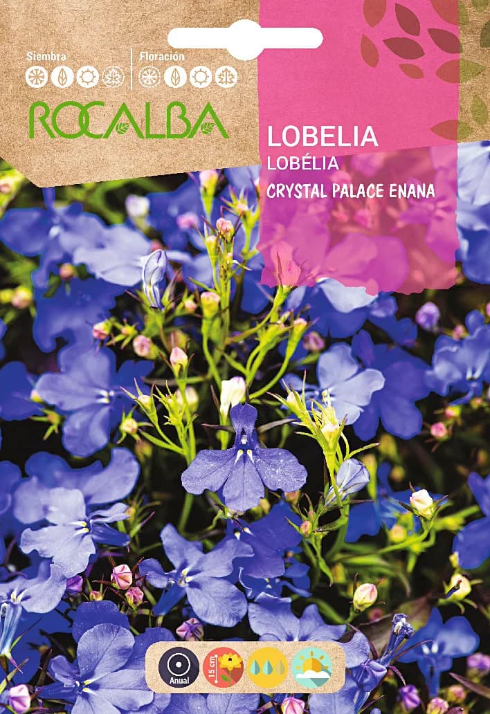 Semilla Lobelia Crystal Palace Enana Azul — foto principal