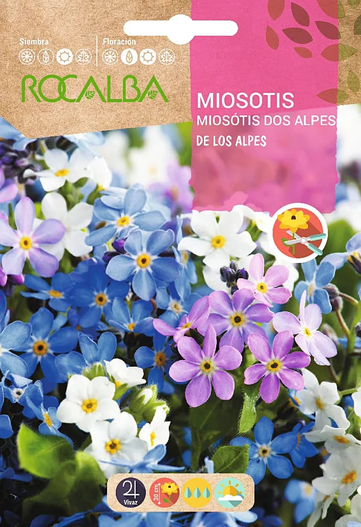 Semilla Miosotis de los Alpes Variado — foto principal