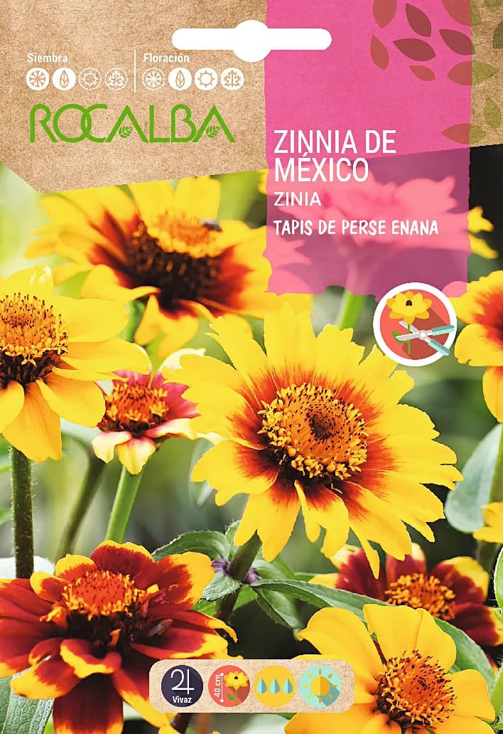 Semilla Zinia de Mexico Tapis de Perse Enana Variada — foto principal