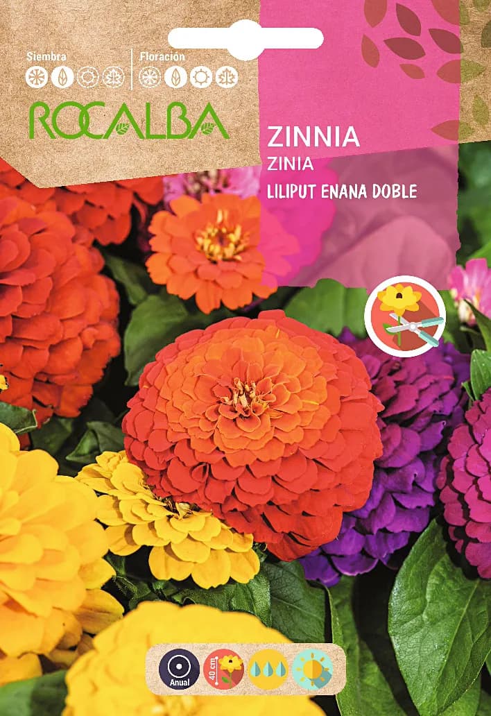 Semilla Zinia Liliput Enana Doble Variada — foto principal