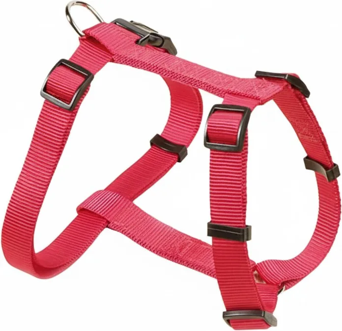 Arnes Nylon Lisa 25 mm. x 50/80 cm — foto principal