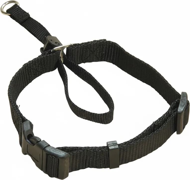 Bozal Collar Nylon 18 cm. — foto principal