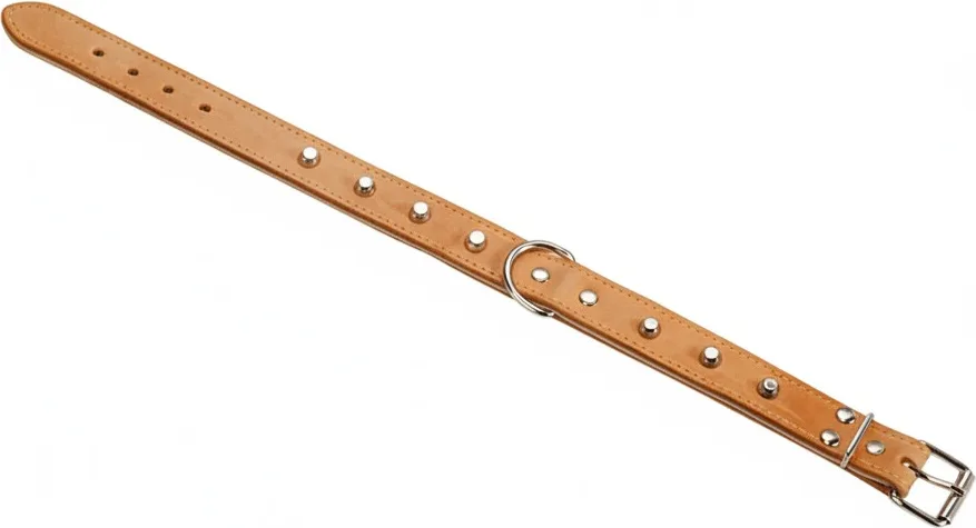 Collar Cuero Acolchado 50cm — foto principal