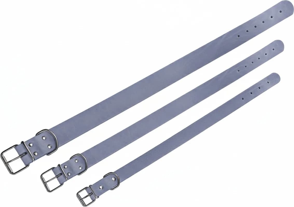 Collar Cuero Cromo 65x3.5 — foto principal