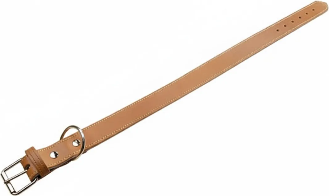 Collar Cuero Reforzado 55 x 3 cm. — foto principal