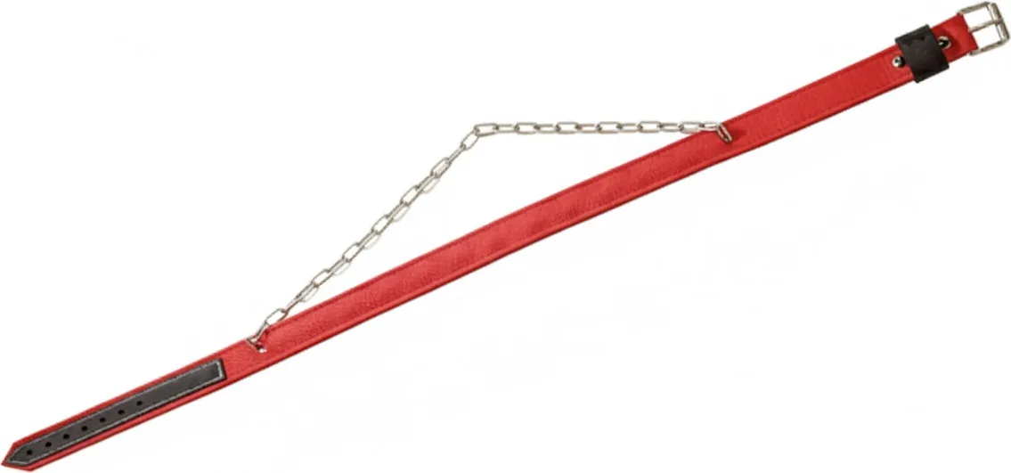 Collar Ganado Doble cadena Interior Antirrobo 115 x 4 cm — foto principal