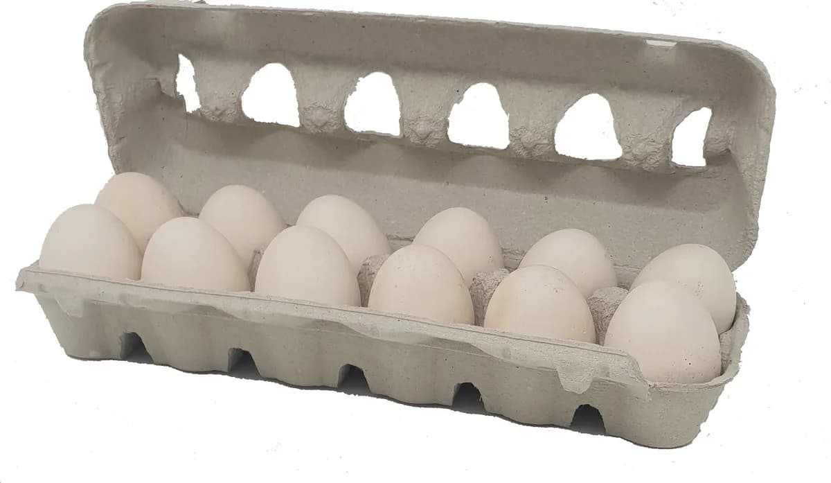 Huevera Carton Pack Ahorro 70 Unidades — foto principal