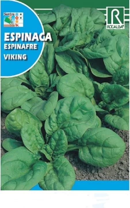 Semilla Espinaca Viking Formato 1kg — foto principal