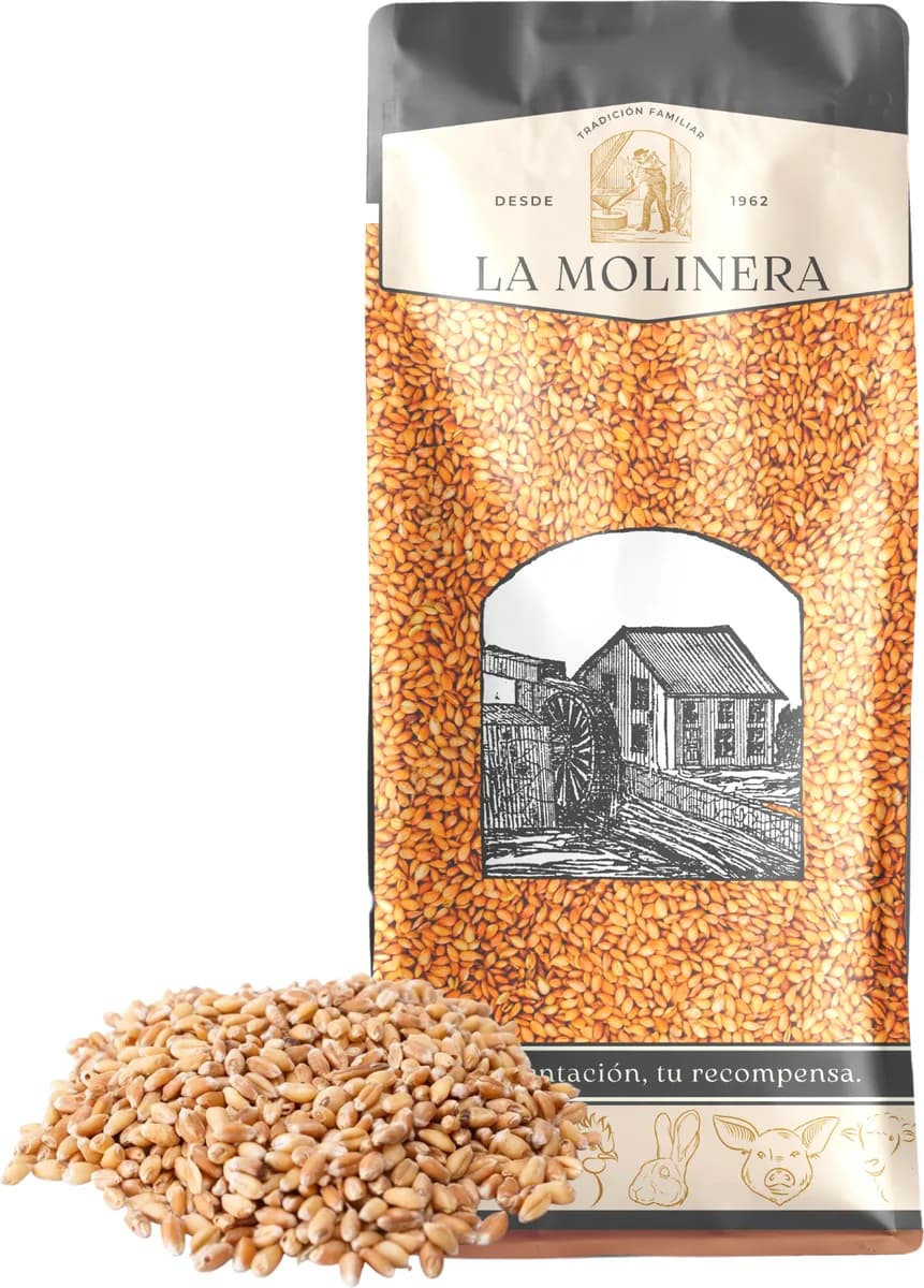 Trigo en Grano 25 kg — foto principal