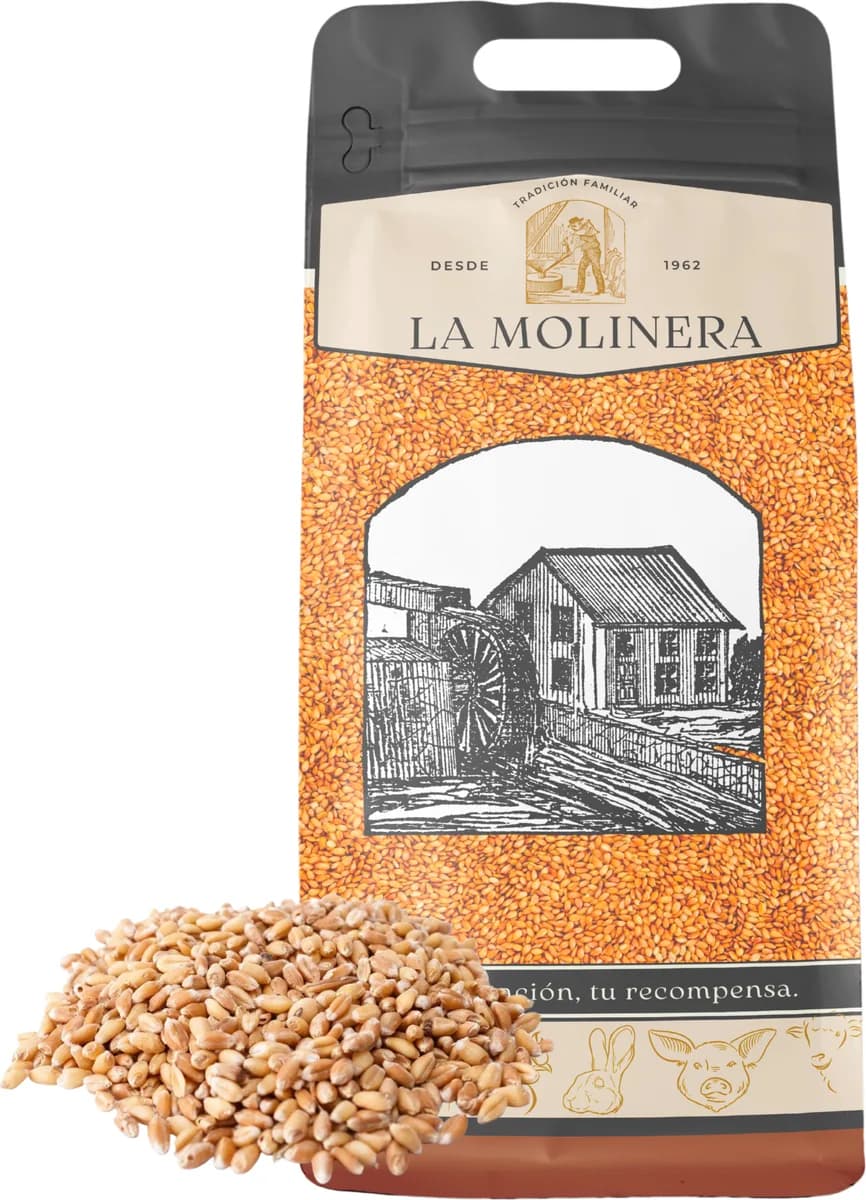 Trigo en Grano 10 kg — foto principal