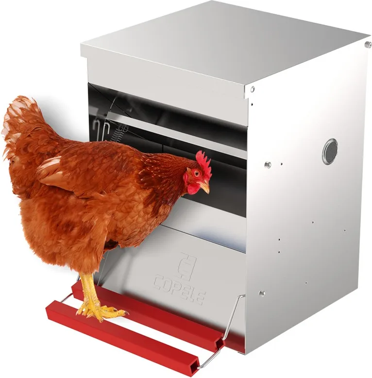 Comedero Automatico Gallinas Safeed 6 kg — foto principal