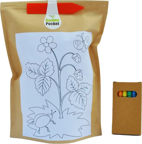 Kit de Cultivo Niños Educo Fresas — foto principal