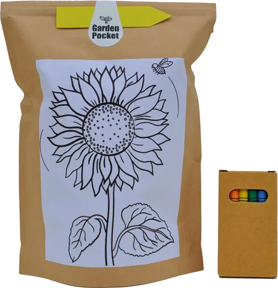 Kit de Cultivo Niños Educo Girasol — foto principal