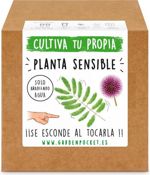 Kit Brotes Pocket Planta Sensible — foto principal