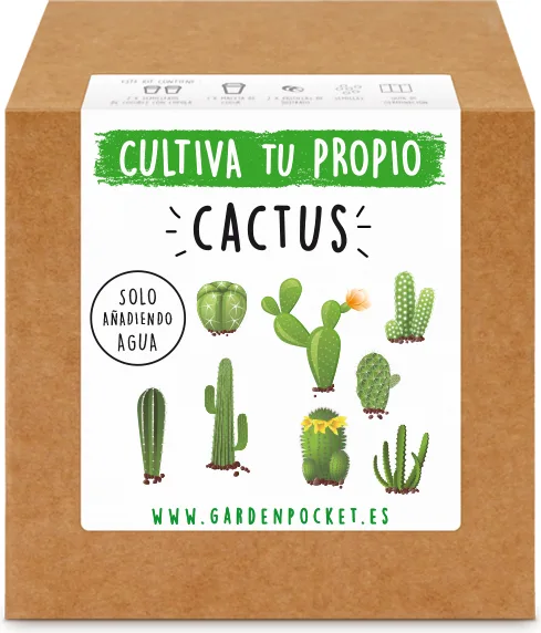 Kit Brotes Pocket Cactus — foto principal