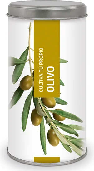 Kit Cultiva Tu Propio Olivo — foto principal